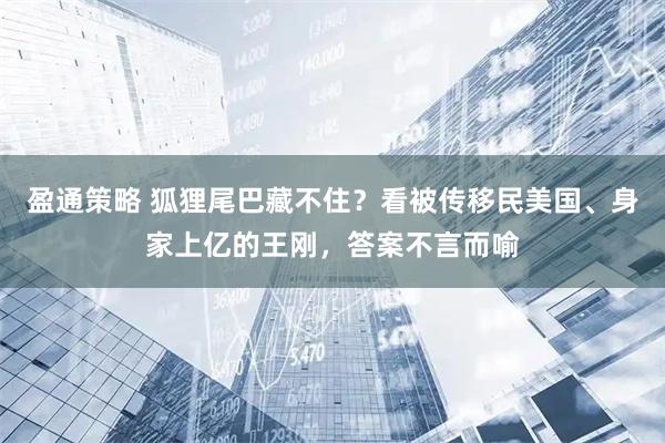 盈通策略 狐狸尾巴藏不住？看被传移民美国、身家上亿的王刚，答案不言而喻
