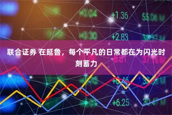 联合证券 在延鲁，每个平凡的日常都在为闪光时刻蓄力