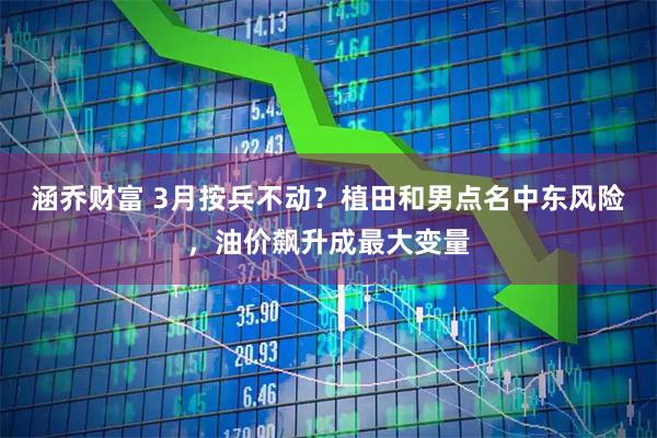 涵乔财富 3月按兵不动？植田和男点名中东风险，油价飙升成最大变量