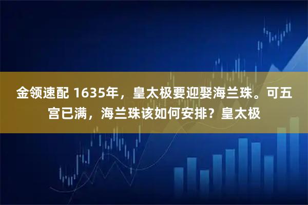 金领速配 1635年，皇太极要迎娶海兰珠。可五宫已满，海兰珠该如何安排？皇太极
