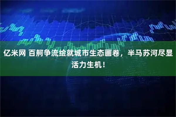 亿米网 百舸争流绘就城市生态画卷，半马苏河尽显活力生机！