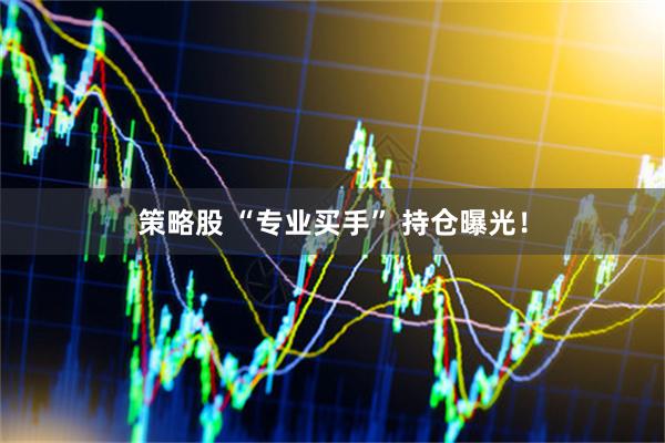 策略股 “专业买手” 持仓曝光！
