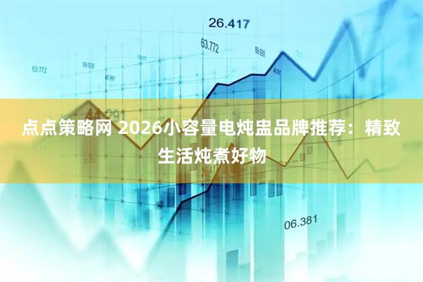 点点策略网 2026小容量电炖盅品牌推荐：精致生活炖煮好物