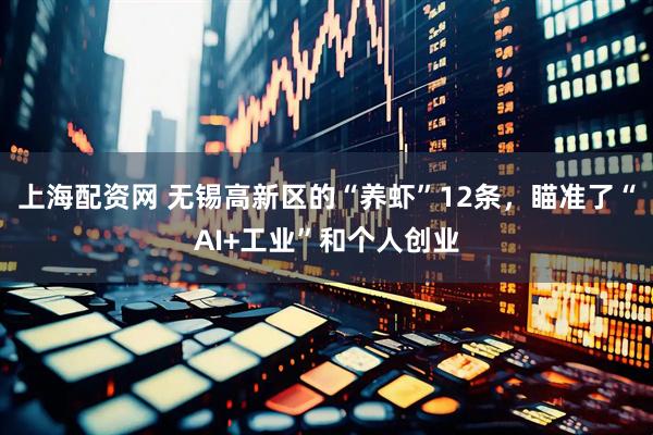 上海配资网 无锡高新区的“养虾”12条，瞄准了“AI+工业”和个人创业