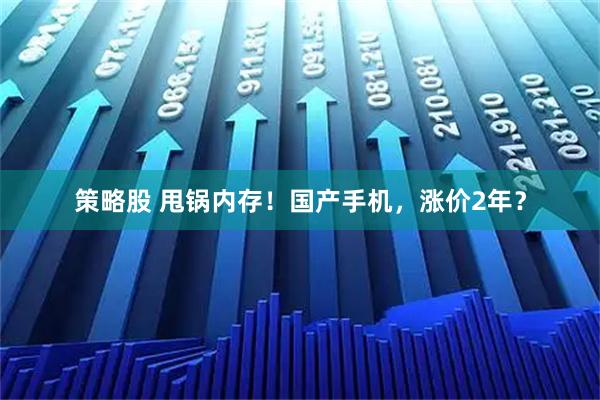 策略股 甩锅内存！国产手机，涨价2年？