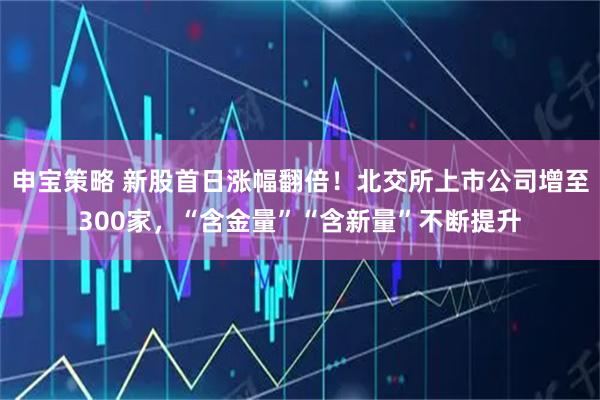 申宝策略 新股首日涨幅翻倍！北交所上市公司增至300家，“含金量”“含新量”不断提升