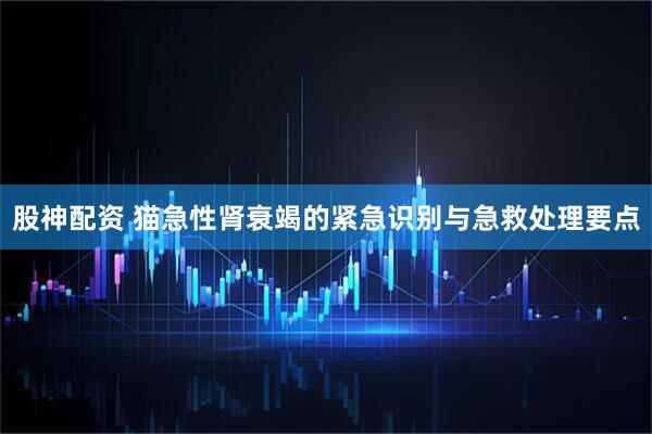 股神配资 猫急性肾衰竭的紧急识别与急救处理要点