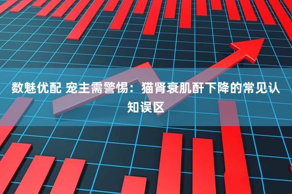 数魅优配 宠主需警惕：猫肾衰肌酐下降的常见认知误区