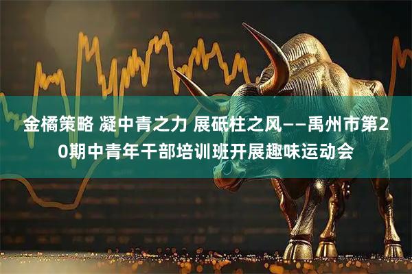 金橘策略 凝中青之力 展砥柱之风——禹州市第20期中青年干部培训班开展趣味运动会