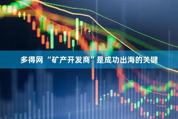 多得网 “矿产开发商”是成功出海的关键