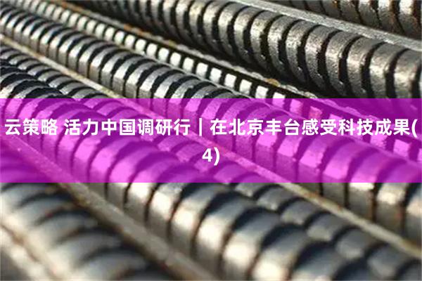 云策略 活力中国调研行｜在北京丰台感受科技成果(4)