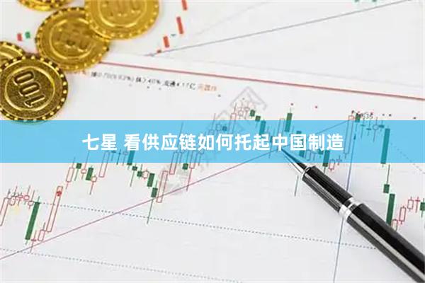 七星 看供应链如何托起中国制造
