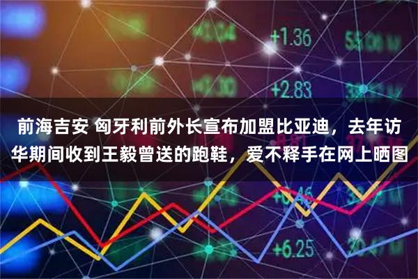 前海吉安 匈牙利前外长宣布加盟比亚迪，去年访华期间收到王毅曾送的跑鞋，爱不释手在网上晒图