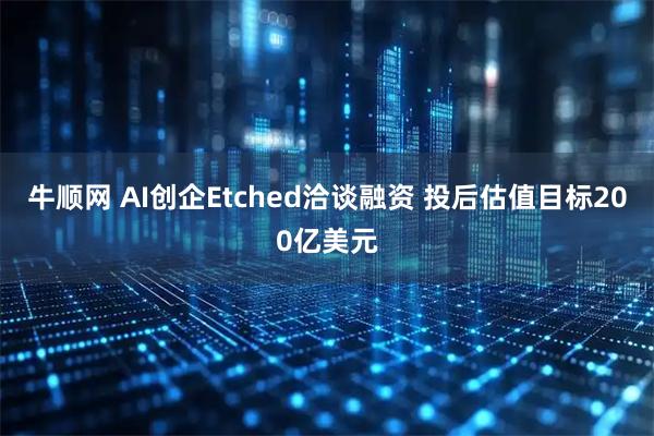 牛顺网 AI创企Etched洽谈融资 投后估值目标200亿美元
